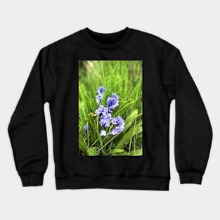 Bluebells In Spring Crewneck Sweatshirt